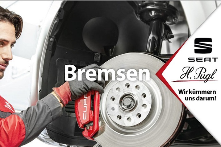 Seat Bremsen